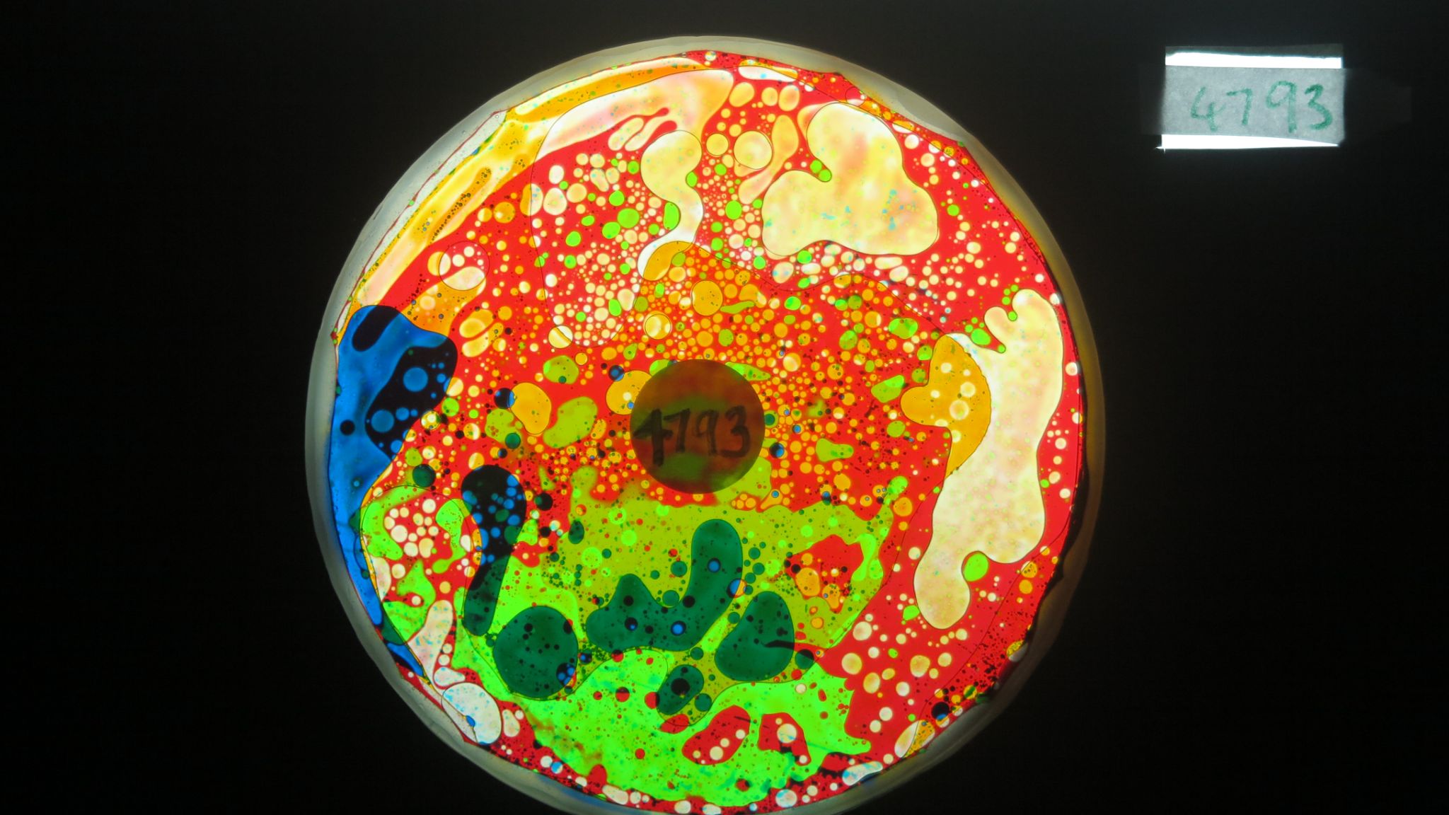 BV4793 bubble vision oil wheel